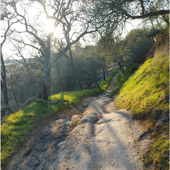 Meet your Posher, Joan - Picture 4 of 6